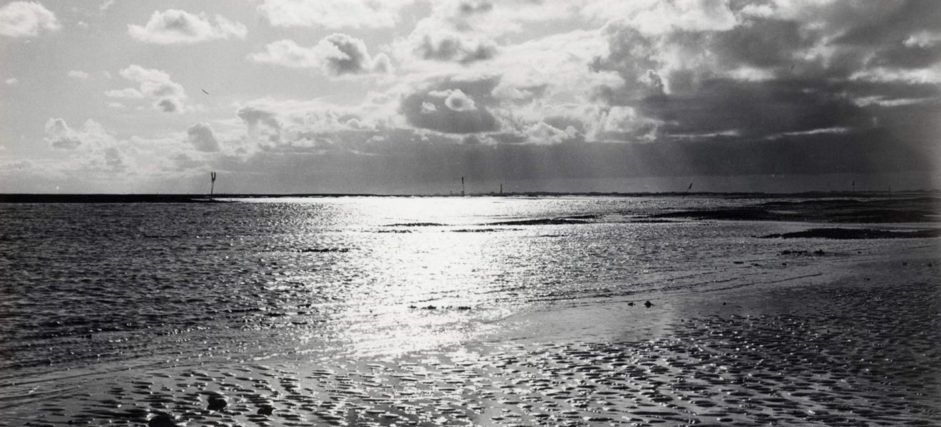 Watt (Quelle: Bildarchiv der Ostfriesischen Landschaft, Foto: Lapann)