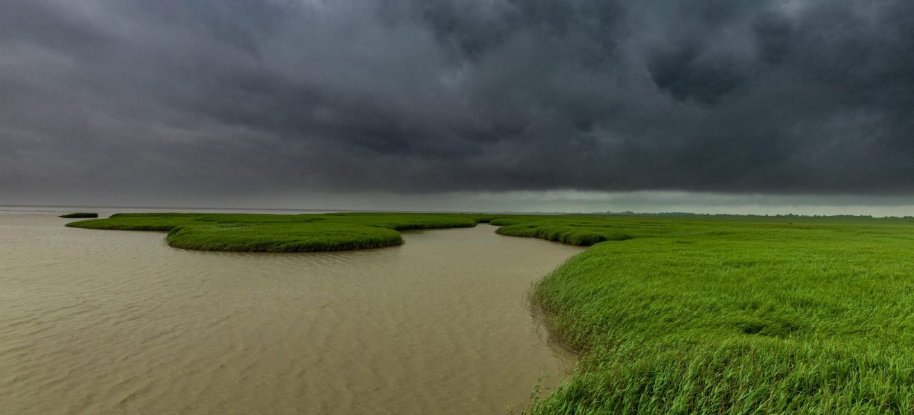 Wattenmeer (Foto: Matthias Süßen)