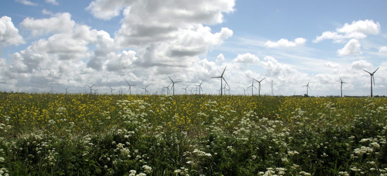 Windenergie in Ostfriesland (Foto: Matthias Süßen)